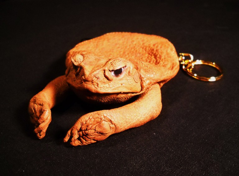 Frog Keychain Coin Purse | BespokeBug